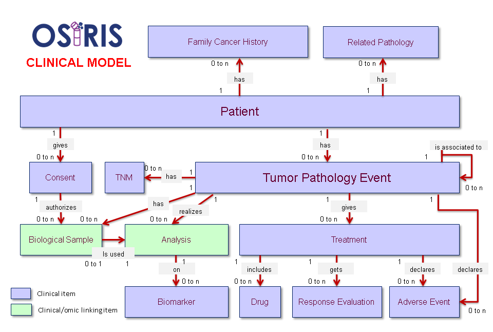 Modélisation conceptuelle clinique