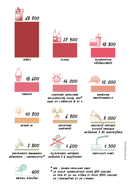 Infographie - Facteurs de risque par Pierre Bourcier