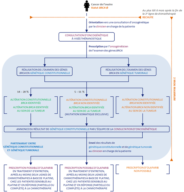 Cancer de l'ovaire et inhibiteur de PARP : Parcours des patientes en génétique oncologique au moment de la rechute